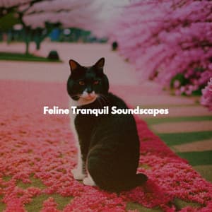 Feline Tranquil Soundscapes - Coffee House Jazz Radio