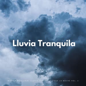 Música De Lluvia: Lluvia Tranquila Toda La Noche Vol. 2 - Lluvia Para Dormir Mejor