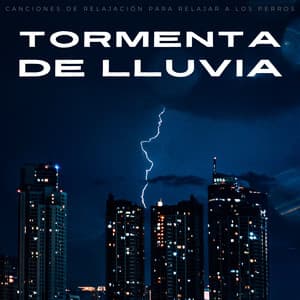 Tormenta De Lluvia: Canciones De Relajación Para Relajar A Los Perros - Sonidos de tormenta de lluvia