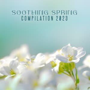 Soothing Spring Compilation 2023 - Ambient Nature Sounds