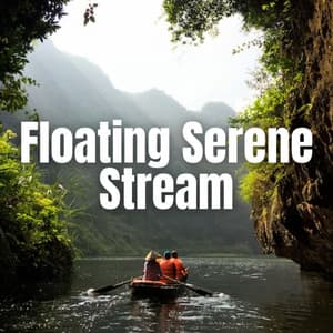 Floating Serene Stream - Vibrations of Nature