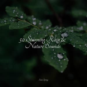 50 Stunning Rain & Nature Sounds - Deep Sleep FX