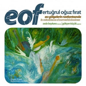 EOF: Acı Gölgelerin Rastlantısında - Ertuğrul Oğuz Fırat