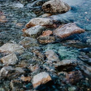 Sounds of Nature: Winter Day Lake Sounds - Nature Sounds ASMR