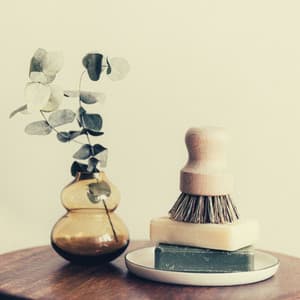 High Class Indian Chill Out Music - Background for Relaxing Massage - Meditation ASMR