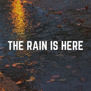 The Rain Is Here - Rainforest Sounds