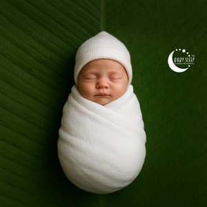 Therapeutic Lullabies for Baby Calm - Baby Sleep Lullaby Academy