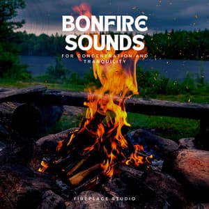 Bonfire Sounds for Concentration and Tranquility - Fireplace Studio