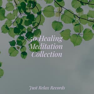 50 Healing Meditation Collection - Yoga Sounds