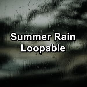 Summer Rain Loopable - Rain Shower