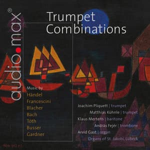Trumpet Combinations - Joachim Pliquett