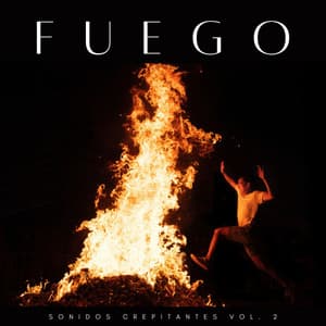 Fuego: Sonidos Crepitantes Vol. 2 - Naturaleza de Suecia