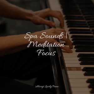 Spa Sounds | Meditation Focus - Restaurant Background Music