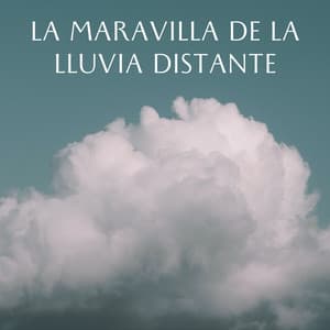 La Maravilla De La Lluvia Distante - Acerca de una tormenta repentina
