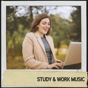 Study & Work Music: Solar Motivation - Relajacion