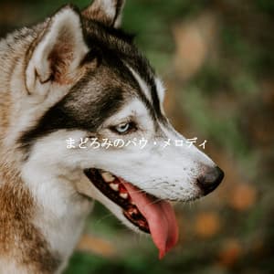 まどろみのパウ・メロディ - Fine Dining Music