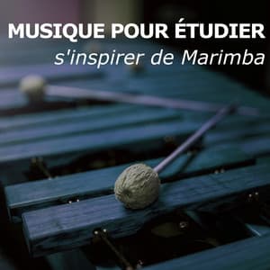 Musique Pour Étudier - Musique Pour Étudier