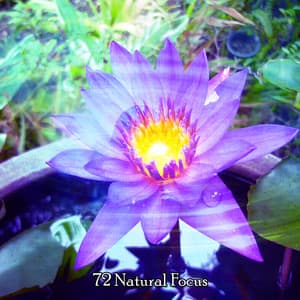 72 Natural Focus - Meditation Masters