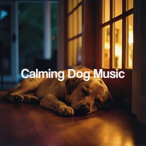 Calming Dog Music - Relaxing Spa Music