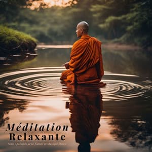 Méditation Relaxante: Sons Apaisants de la Nature et Musique Douce - Chakras Yoga Spécialistes