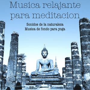 Musica relajante para meditacion – Sonidos de la naturaleza, musica de fondo para yoga - Maestros de música de la meditación