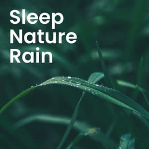 Nature's Healing Touch: Soothing Sounds for Sleep & Relaxation - Natural Healing Music Zone