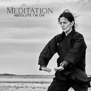 Meditation Absolute Tai Chi: Bring Calmness for the Spirit, Zen Harmony - Asian Music Sanctuary