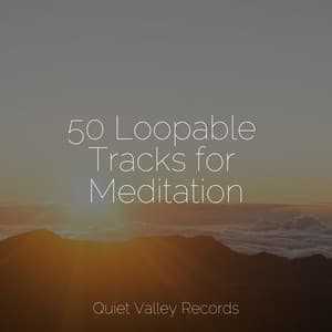 50 Loopable Tracks for Meditation - Alpha Waves