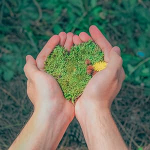 1 Ambient: Sacred Earth - Baltic Nature Sounds