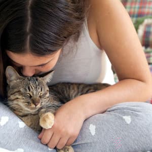 Feline Frequencies: Binaural Cat Comforts - Solfeggio Music