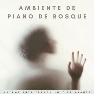 Ambiente De Piano De Bosque: Un Ambiente Tranquilo Y Relajante - Cóctel Piano Bar Jazz