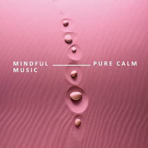 Mindful Music - Stress Relief Calm Oasis
