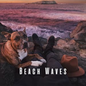 Beach Waves: Rain Meditation Rhythms for Dogs - Rain Atmospheres