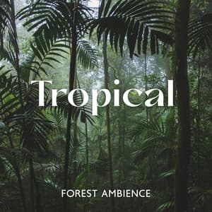 Tropical Forest Ambience: Sounds From Nature - Total Nature Relaxation