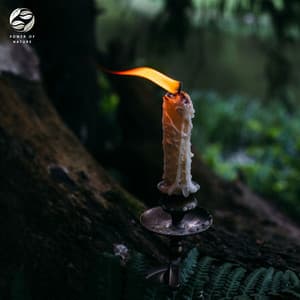 Piano And Wind In The Enchanted Forest - Mystic Haven