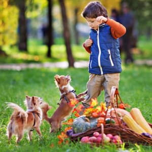Ambiance for The Sleepiest Pup - Calma Música para Perros