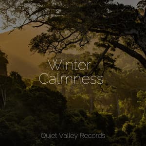 Winter Calmness - Ambiente
