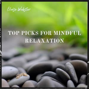 Top Picks for Mindful Relaxation, Zen Meditation, Stress-Relief, and Quality Sleep - Eloise Webster