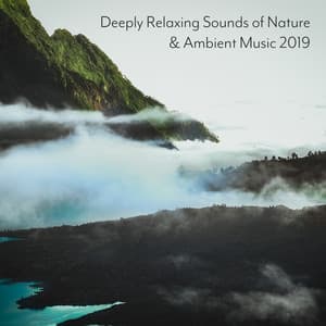 Deeply Relaxing Sounds of Nature & Ambient Music 2019 - Relaxing Flute Music Zone