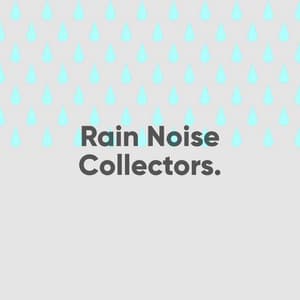 Winter and Spring Rain Sounds Collection - Rain Noise Collectors