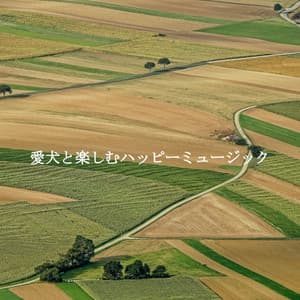 愛犬と楽しむハッピーミュージック - Calming Jazz Lounge