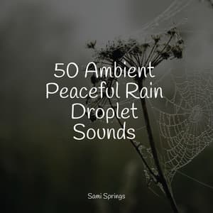 50 Ambient Peaceful Rain Droplet Sounds - Sleep Music System