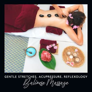 Gentle Stretches, Acupressure, Reflexology: Balinese Massage - Spa!
