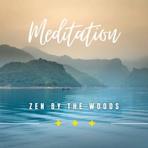 Zen by the Woods: Forest Reflections - Plant Frequencies Universe