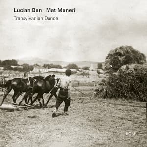 Transylvanian Dance - Lucian Ban