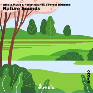 Nature Sounds - Ambia Music