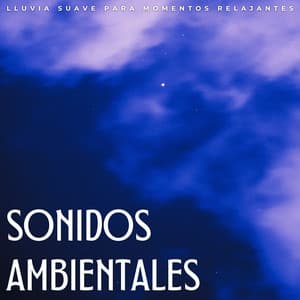 Sonidos Ambientales: Lluvia Suave Para Momentos Relajantes - La mejor musica instrumental