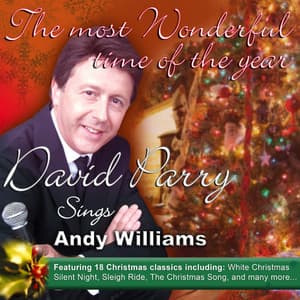 The Most Wonderful Time of the Year - David Parry