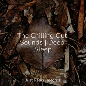 The Chilling Out Sounds | Deep Sleep - Zen Music Garden