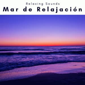Mar de Relajación - Sonidos Relajantes de Naturaleza